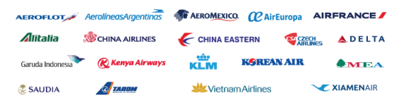 What Do You Know About Skyteam Airline Alliance Vietnam Airlines